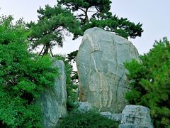 -奥林匹克森林公园南门-停车场