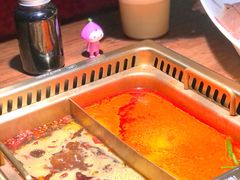 -九鼎轩脆毛肚火锅(三钢里店)