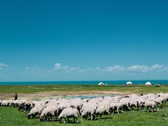 -青海湖国家重点风景名胜区