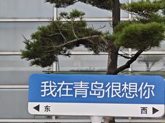 -船梆煮•蒸汽海鲜·生腌干蒸(五四广场店)