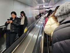 -东方体育中心(地铁站)