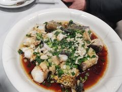 -全乐鱼馆·淳牌有机鱼直营店