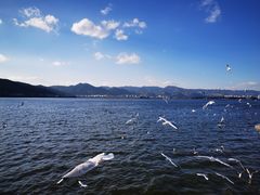 -海埂大坝