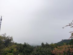 -阳台山自然风景区