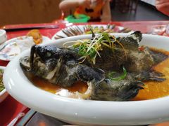 清蒸石斑鱼-渔友鲜海鲜加工(海鲜大世界店)
