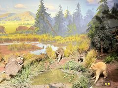 -陕西自然博物馆