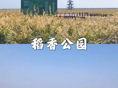 -西青郊野公园