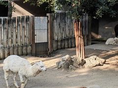 -成都动物园