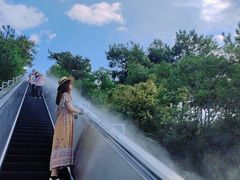 -千岛湖天屿景区