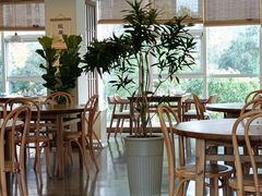 -墨宴(西洋湖店)