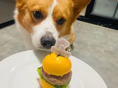 -帕帕拉兹宠物(亚洲旗舰店)