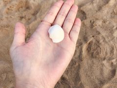 -南戴河国际娱乐中心