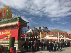-宗角禄康公园