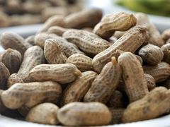 -三亚火车头万人海鲜广场