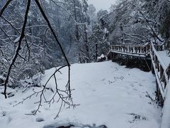 -龙苍沟森林公园