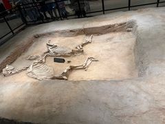 -洛阳周王城天子驾六博物馆