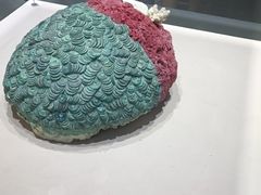 -黄金博物馆