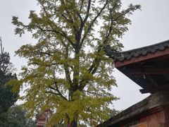 -金堂县云顶石城风景区