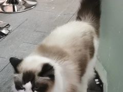 -零纪元VR体验馆·桌游(黄浦店)