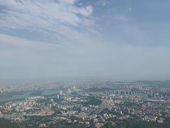 -紫金山山顶公园