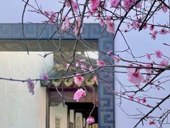 -八大山人梅湖景区