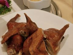 -锦粤宫·精致粤菜(深圳北站店)