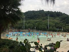-重庆海昌加勒比海水世界