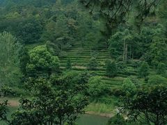 -九龙潭景区