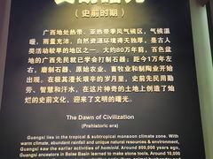 -广西壮族自治区博物馆