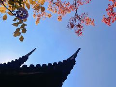-龙华寺
