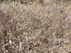 -鹫峰国家森林公园