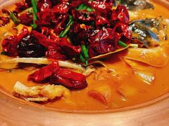 -柿合缘新京菜(国金中心商场店)
