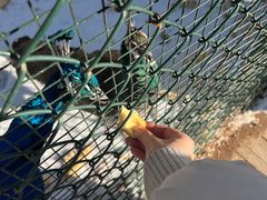 -北京鹿世界主题园