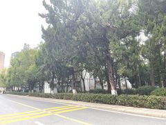 -武汉大学-樱园