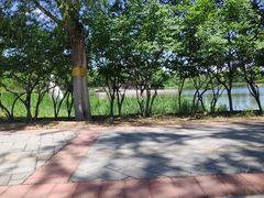 -永定河休闲森林公园