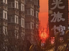 -东北农业大学饺子园