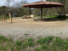 -宁波野生动物园