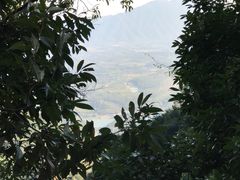 -牛鱼嘴原始生态风景区