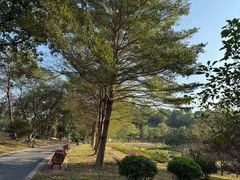 -东莞植物园