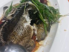 -万龙洲海鲜(大兴绿地缤纷城店)