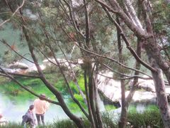 -鄱阳湖国家湿地公园