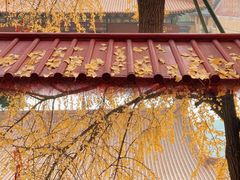 -宝通禅寺