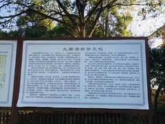 -九鲤湖风景区