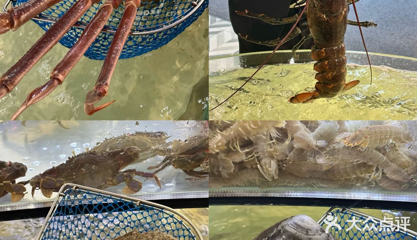 阿那亚｜海鲜餐厅好吃🦞好拍谁能不爱！