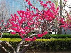 -麦当劳(展览路店)