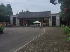 -上海海湾国家森林公园