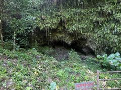 -海口火山口国家地质公园