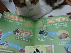 -瑞虹新天地月亮湾