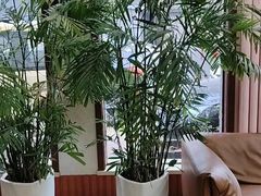 -龙禧盛精品酒店(天津西站店)