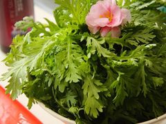 -刘一锅筋头巴脑(小北店)